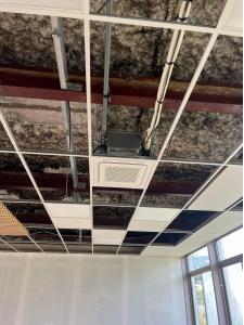 Cassette Daikin 600 x 600 intégrée dans un plafond modulaire de bureaux à Paris